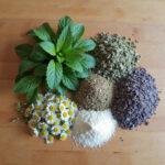 Fresh herbs and dried botanicals on a wooden surface for making herbal tea blends