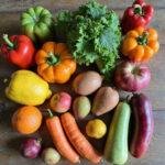 Colorful display of seasonal produce including pumpkins, apples, carrots, and berries on a wooden table representing monthly harvests.
